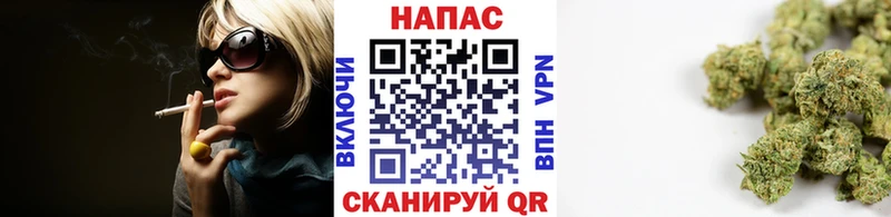 Конопля White Widow  Кедровый 